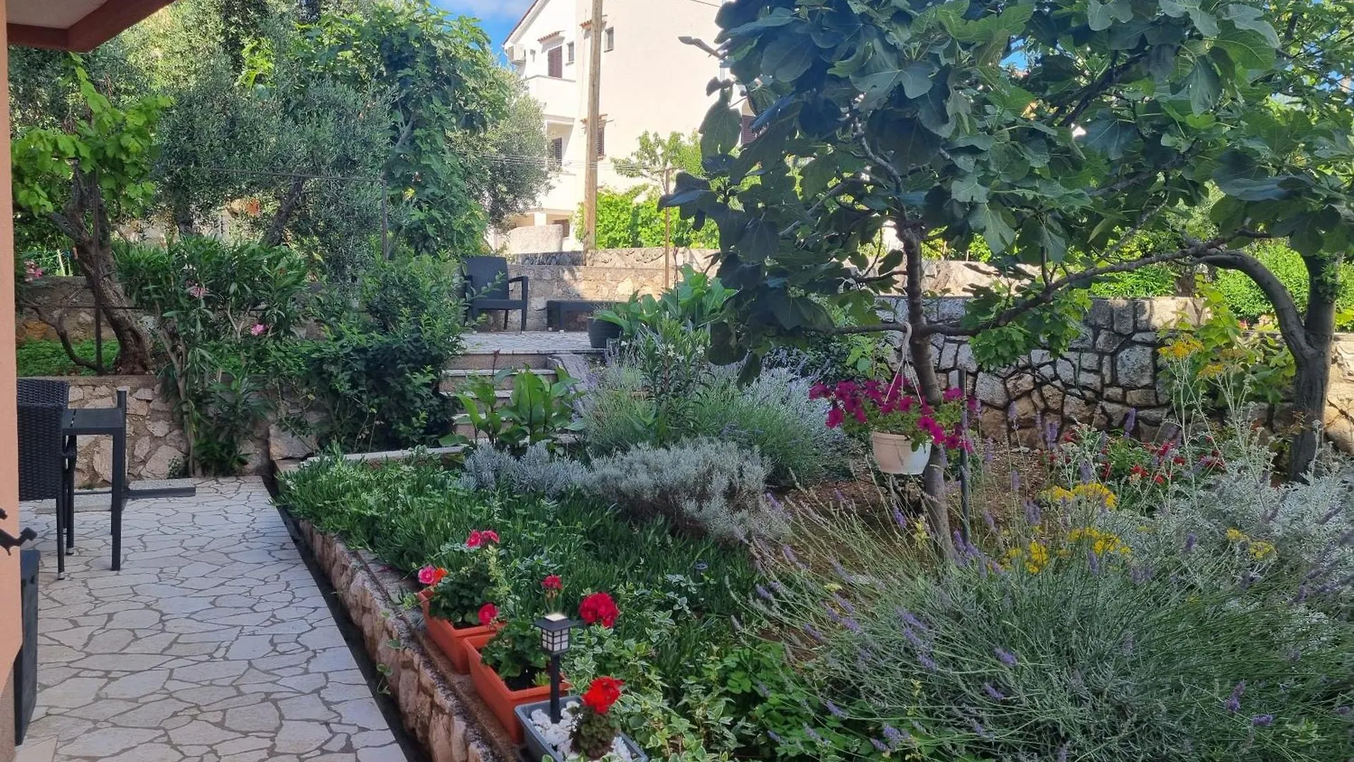 Roza Apartment Cres Croatia